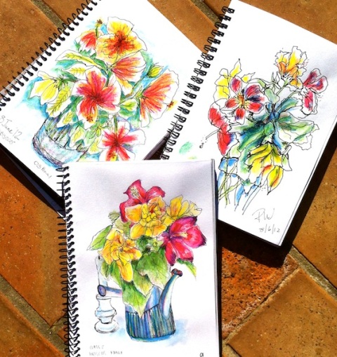 Hibiscus Sketches, line and watercolour pencil